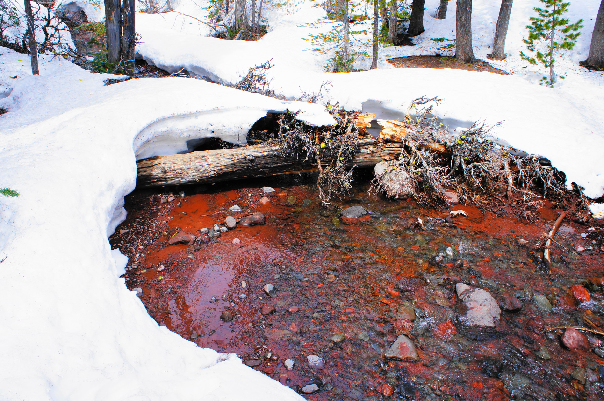soap creek. can we just call it red volcanic rock silt creek?